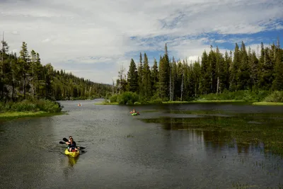 DSC_0041 (Large).JPG